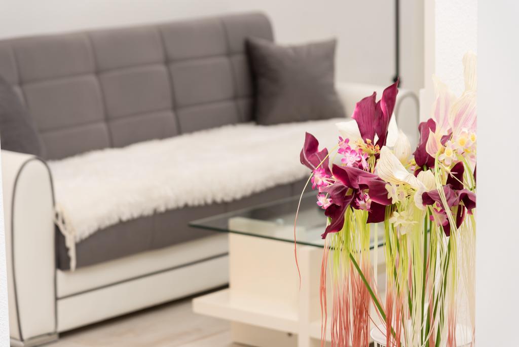 Apartment Antonio บาชกาโวดา ภายนอก รูปภาพ